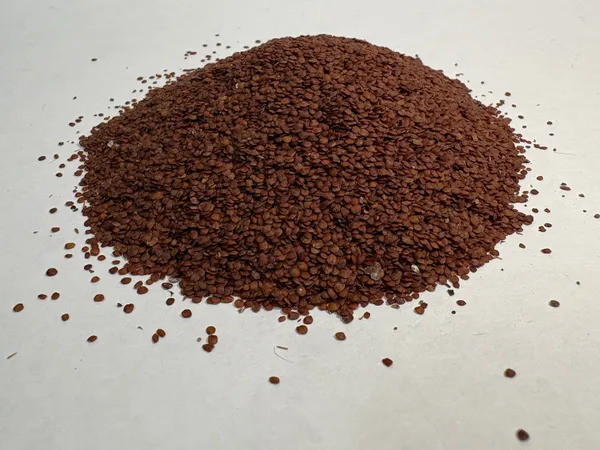 Lajwanti_Seeds_Mimosa_Pudica_Natural_Herbal_Seeds_Botanyaura